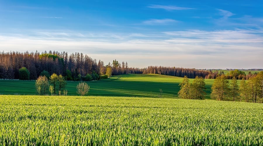 countryside